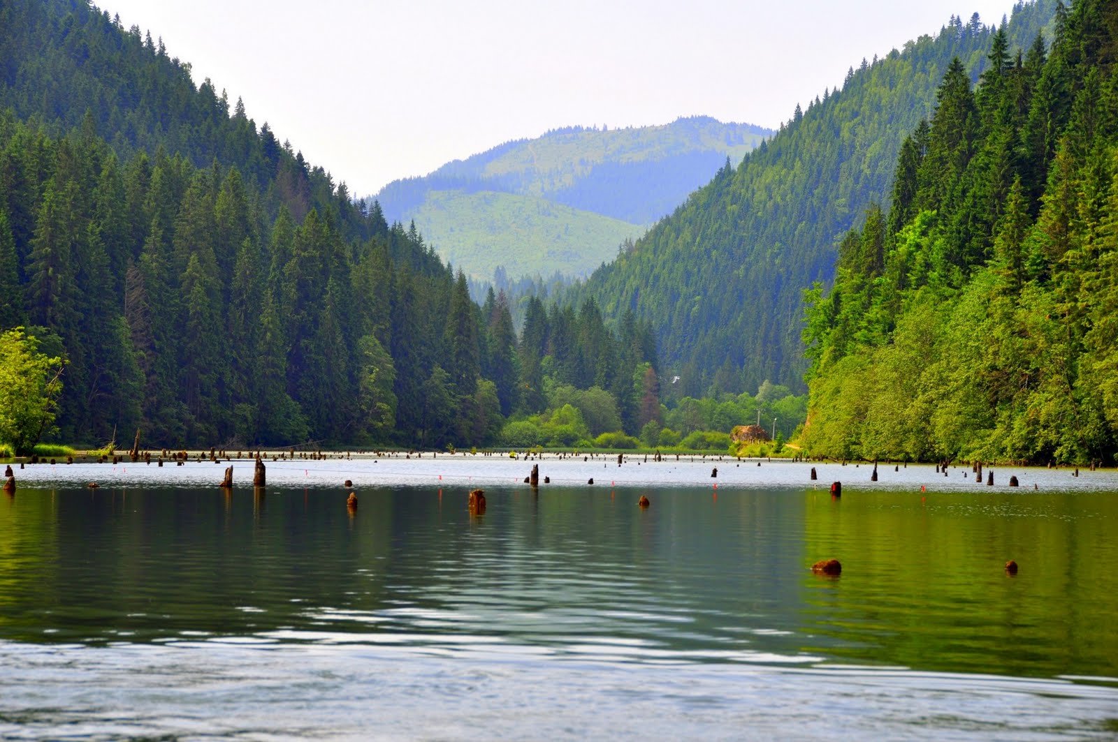 Cheile Bicazului și Lacul Roșu – popas pentru trup și minte