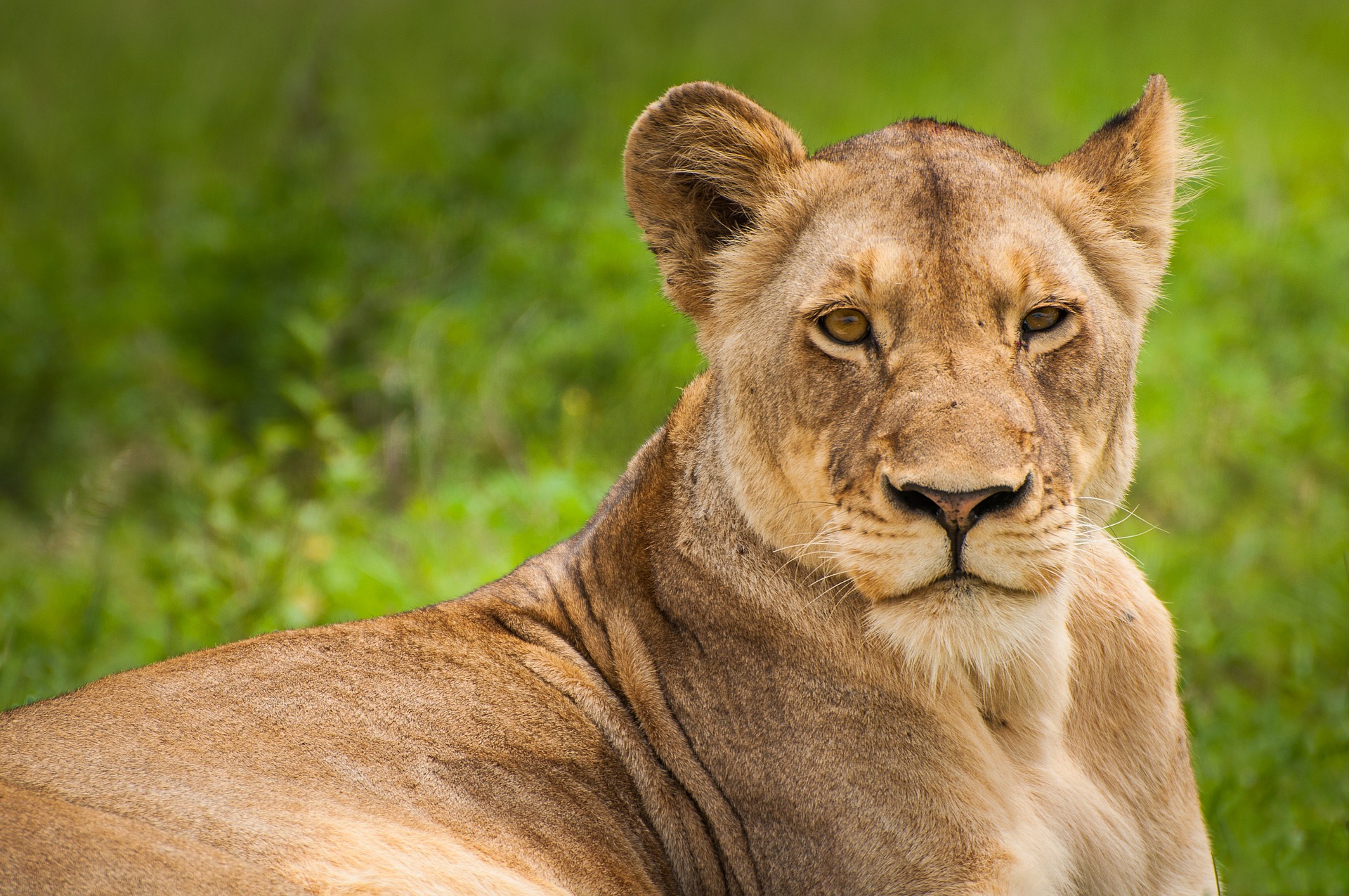 O vizită copleşitoare la Grădina Zoologică din Wrocław