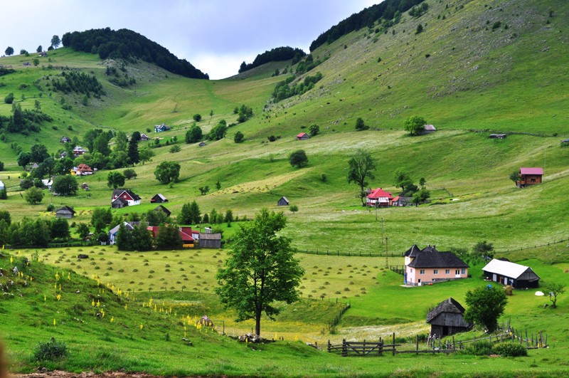 Șirnea, satul de poveste unde localnicii măsoară laptele